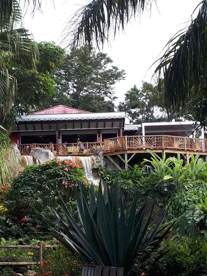 Villa Du Jardin Botanique, Ex. Propriete Coluche Deshaies Ngoại thất bức ảnh