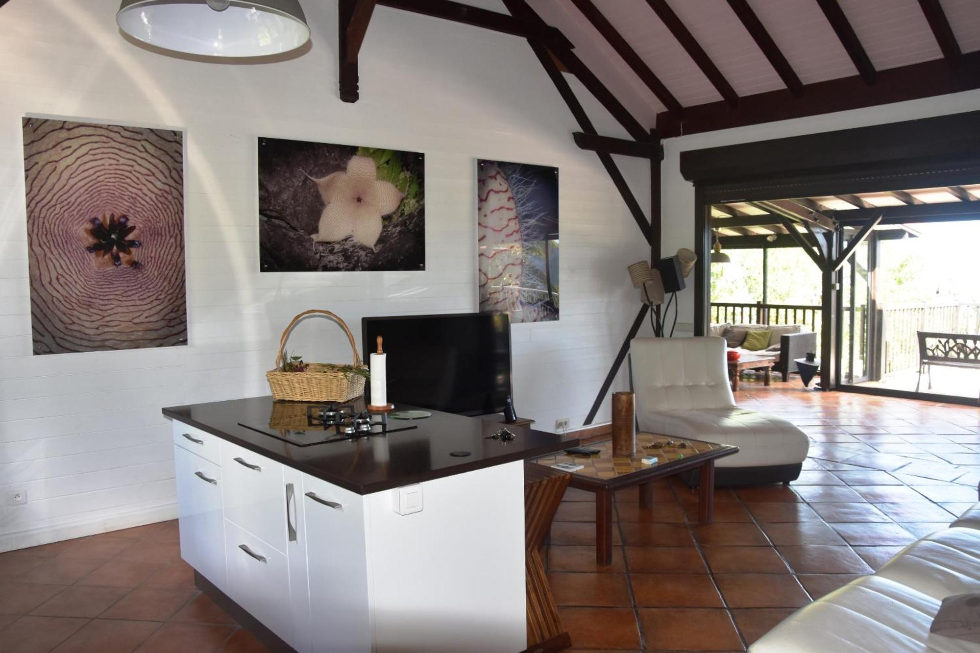 Villa Du Jardin Botanique, Ex. Propriete Coluche Deshaies Ngoại thất bức ảnh